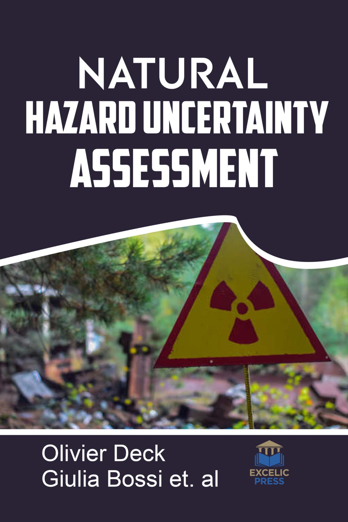 Natural Hazard Uncertainty Assessment Excelic Press