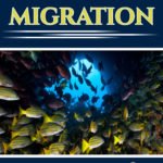 Fish Migration