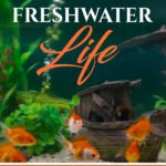 Nutritional Freshwater Life