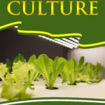 Soilless Culture