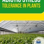Abiotic Stress Tolerance in Plants