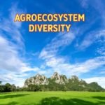 Agroecosystem Diversity