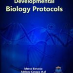 Developmental Biology Protocols