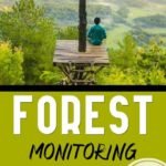 Forest Monitoring