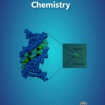 Heterocyclic Chemistry