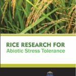 Rice Research for Abiotic Stress Tolerance