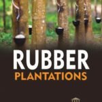 Rubber Plantations