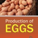 Production of Eggs