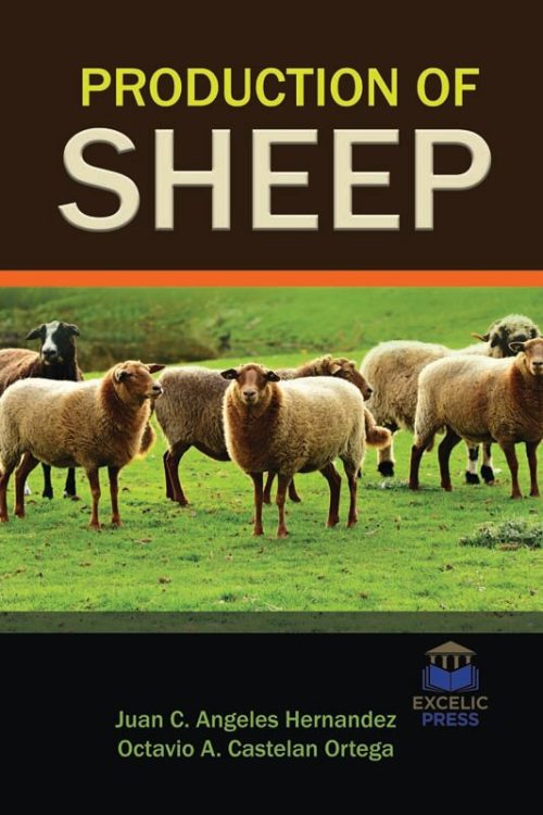 Production of Sheep – Excelic Press