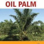 Innovative Techniques in Cultivation of Oil Palm