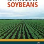 Innovative Techniques in Cultivation of Soybeans