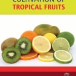 Innovative Techniques in Cultivation of Tropical Fruits