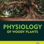 Physiology of Woody Plants