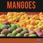 Innovative Techniques in Cultivation of Mangoes