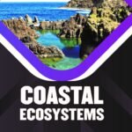 Coastal Ecosystems