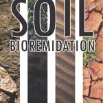 Soil Bioremidation