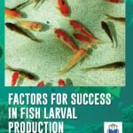 Factors for Success in Fish Larval Production