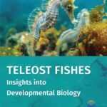Teleost Fishes: Insights into Developmental Biology